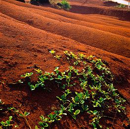 《遗迹2》新DLC“觉醒之王”现已正式推出